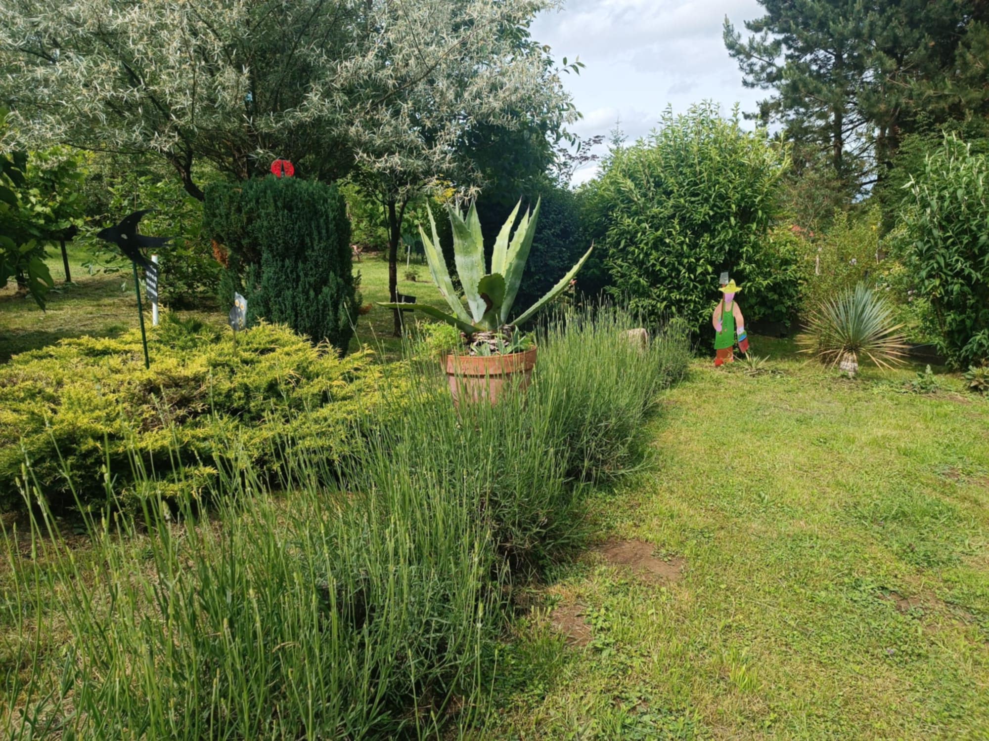 JARDIN PATURAL DES JONCS