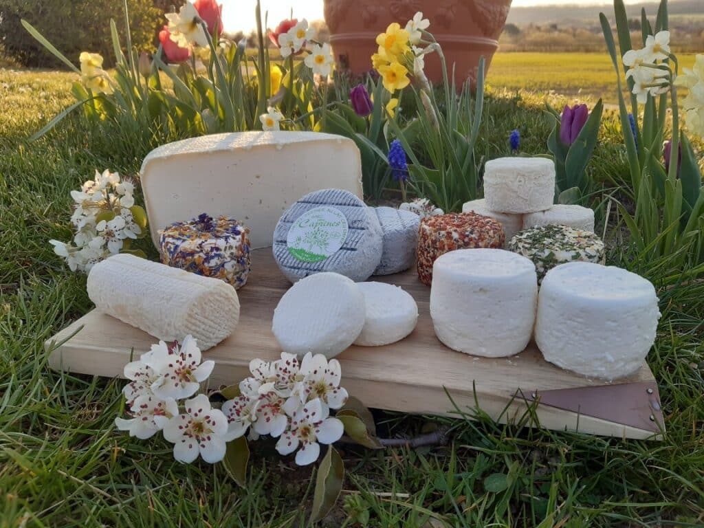 Fromages - GAEC des Caprines